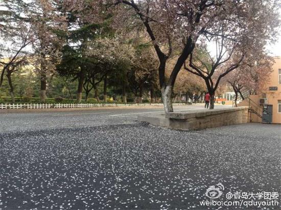 图片来源：@青岛大学团委