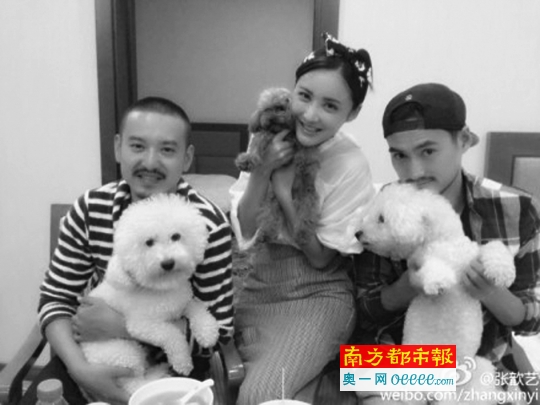 张歆艺袁弘微博互动频繁 当时女方未离婚