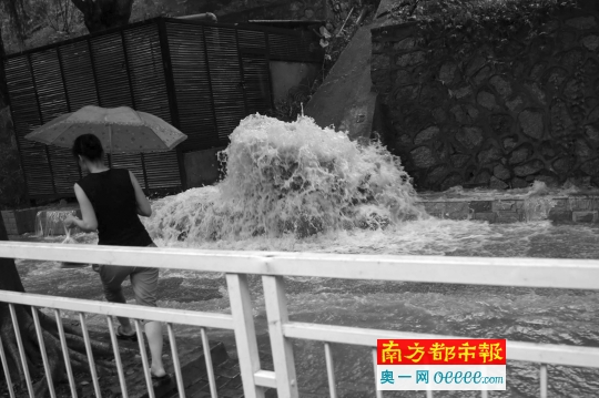 昨日，深圳罗湖东湖路，一个污水井污水倒灌。南都记者 陈文才 摄