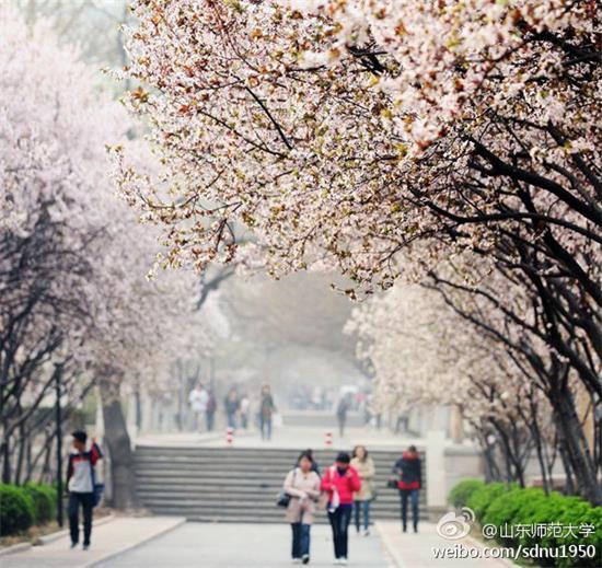 图片来源：@山东师范大学