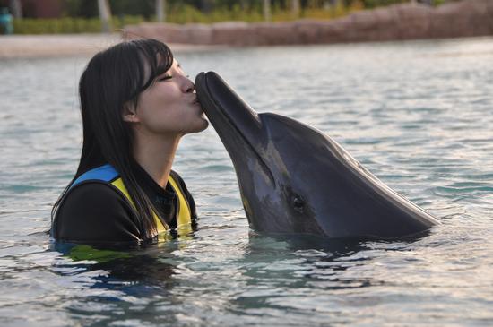 倡导自由平等生存空间的张静初与海豚
