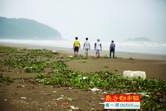 昨日下午，出海捕鱼失踪的渔民夫妻的家属在海边寻找亲人。南都记者 吴进 摄