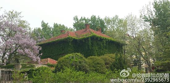 图片来源：@给咖啡加点奶酪