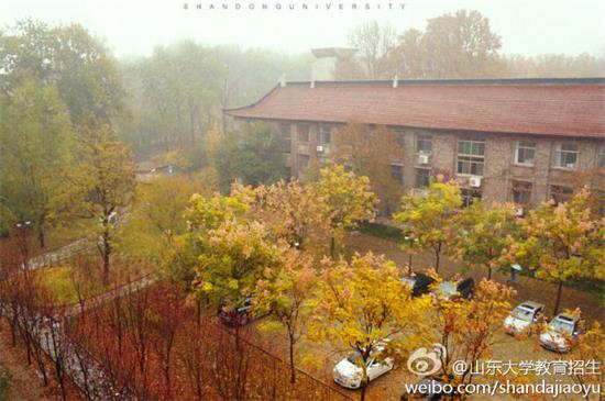 图片来源：@山东大学教育招生