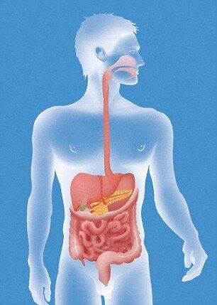 德国微生物学家茱莉亚?恩德斯Giulia Enders声称，坐在马桶上排便，可能是错误且不健康的方式，并表示当我们坐在马桶上排便时是不能够顺畅地排便的，相反的，我们应该采用蹲便的方式。