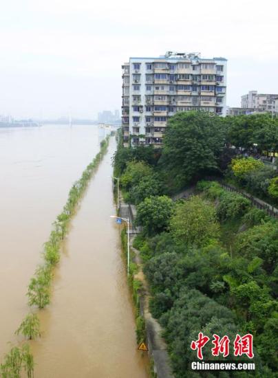 图为5月21日,柳江河柳州市区段被水淹没路段。 朱柳融 摄