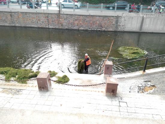 河道内水草等杂物清理