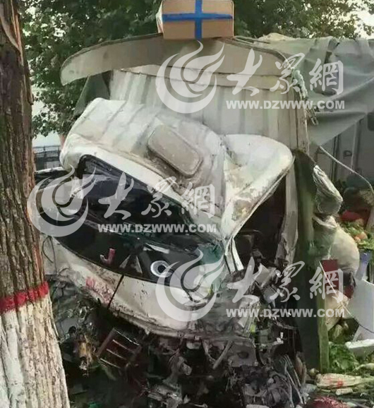 货车撞上路边大树,驾驶室变形。(网友供图)