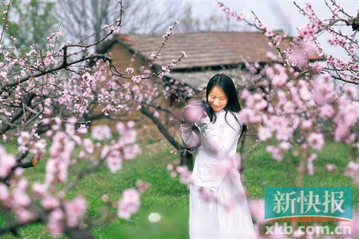 祥子隐居的小屋,篱笆围绕,左边是连绵的山脉,右边是清澈的小河,房前屋后都是树。