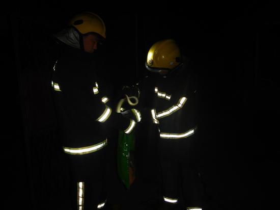 1米长菜花蛇深夜造访出租房 吓得租客不敢进屋