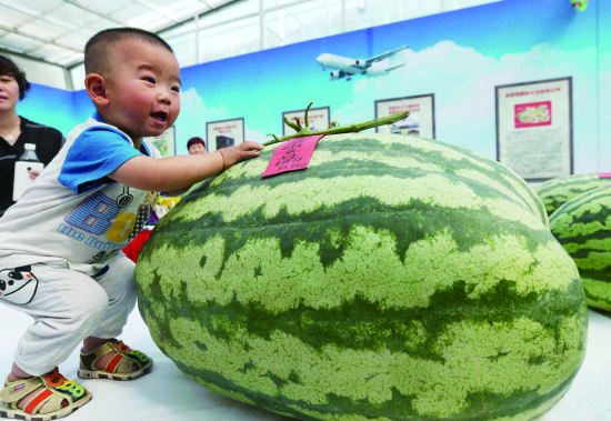 评比现场,小朋友正与