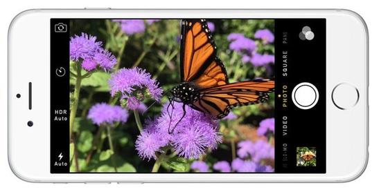 iPhone 6s可能采用1200万像素RGBW传感器