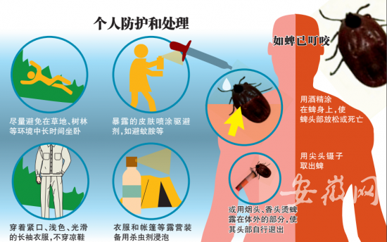 六安一老太摘桃后连烧数日去世 因被蜱虫叮咬