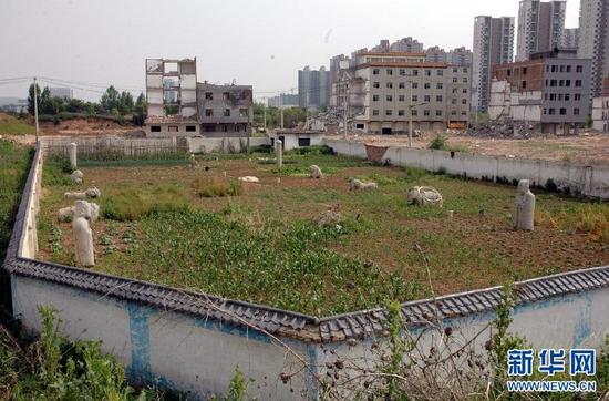 西安明秦王陵園變菜園