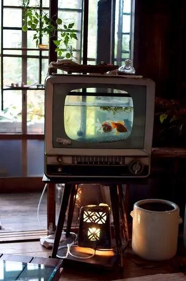把老电视改成了金鱼的家