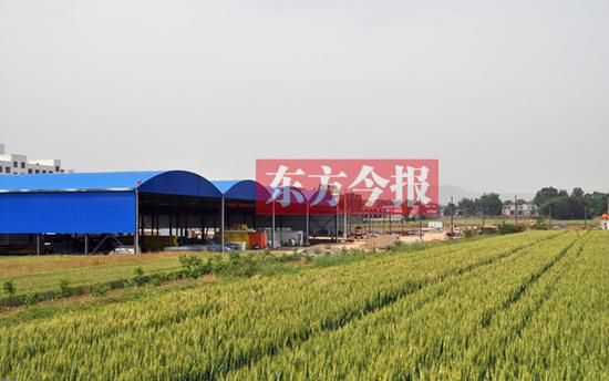 鋼材市場(chǎng)在莊稼地瘋長(zhǎng)