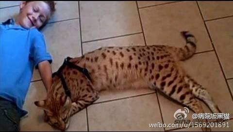 结婚以后就是大人了-宅女每日囧吐槽_雷人囧图_新浪