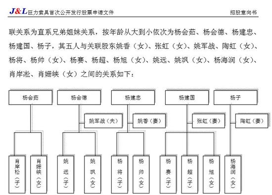 2010年的招股意向书