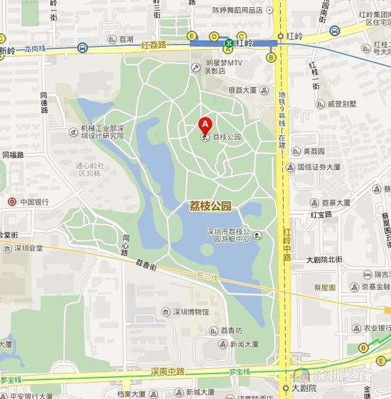 看满天繁星和皎洁明月 来深圳荔枝公园