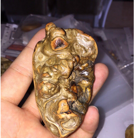 图片版权归原作者所有 图片版权归原作者所有