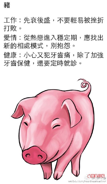 生肖猪运势