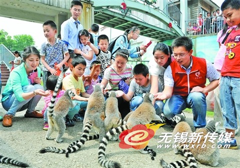 小伙伴们在开心地玩耍