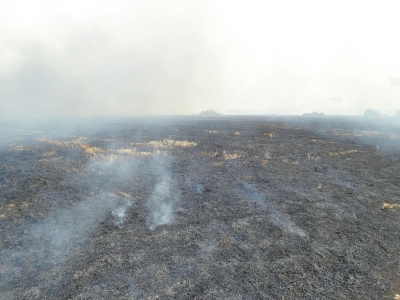 燒過的“黑地圖”一眼望不到邊
