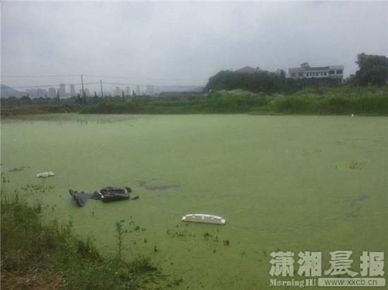 池塘宽约30米，车子栽进了池塘另一侧的边上，池塘中还漂浮着一个儿童安全座椅。图/潇湘晨报实习生 秦鑫