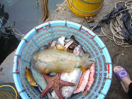 珠海的一片净土庙湾岛 去沙滩上看星星吧