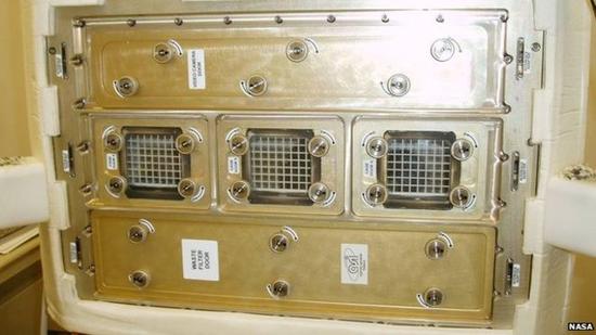 太空实验老鼠皮肤现异常:变薄体毛逆生长|老鼠