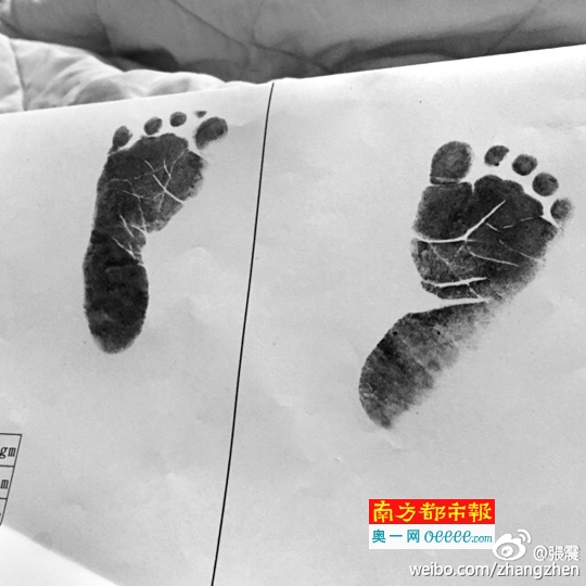 张震：新成员报到。