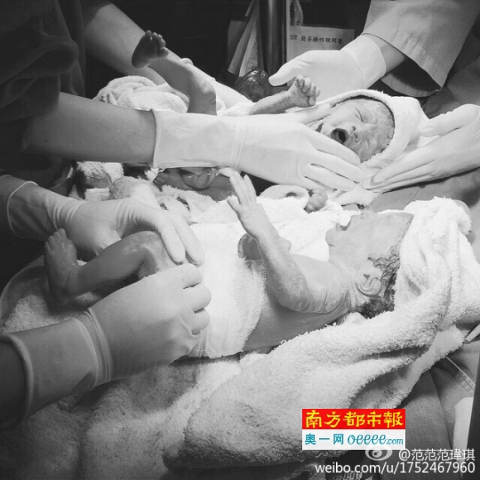 范玮琪：大小熊猫提早报到！