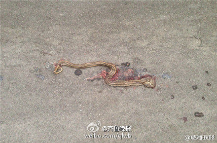 現場圖