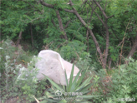現場圖