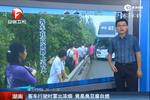 客车行驶时冒出浓烟 竟是臭豆腐自燃