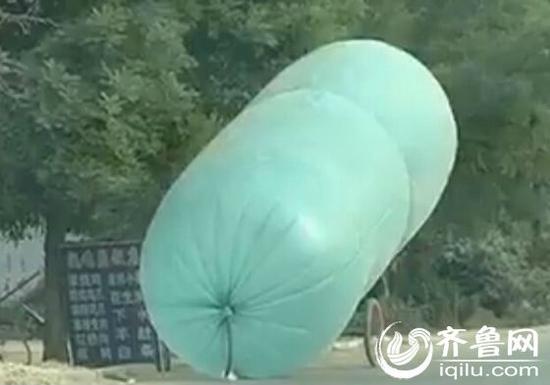 莘县古云镇因为地下存储着大量的石油和天然气,开采的过程中以及废弃的油井里依然会有天然气排放,所以当地的村民就用气袋收集起来,运回家自己使用。