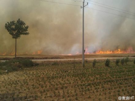 今天中午12时许，安阳滑县四间房乡三个村庄的麦子被烧，目前大火正向大吕庄村蔓延，过火麦地约万亩。村民称，火灾刚发生时就报警，到现在过去两个小时，仍不见消防队。