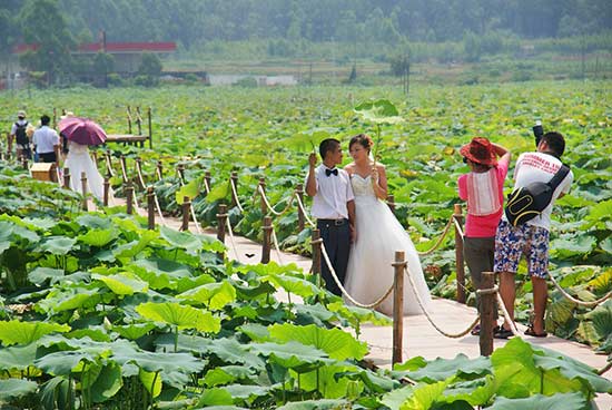 贵港30个最好玩的地方