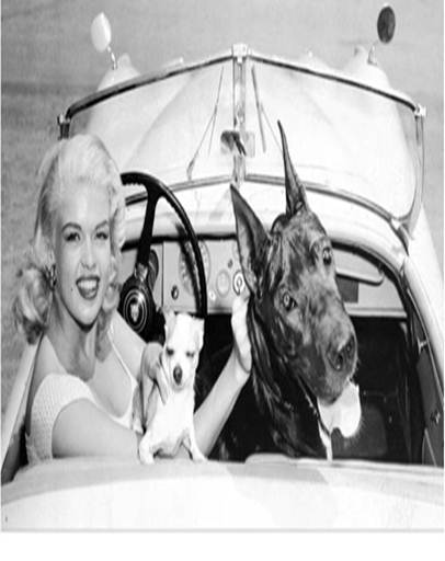 八十年星光璀璨 捷豹名人堂车主大盘点_宁波汽