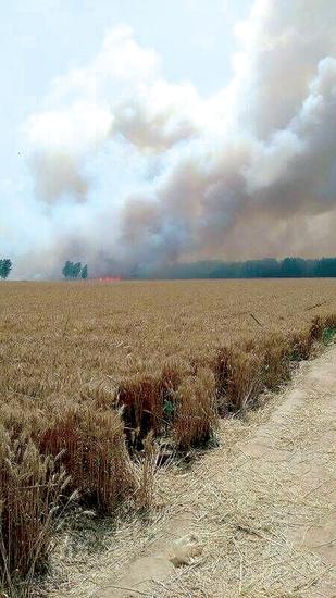 安陽新區(qū)高莊鎮(zhèn)村莊大火。(馮開俊 圖)