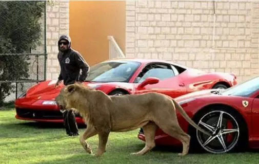 全民来发钱 沙特人就是这么有钱任性