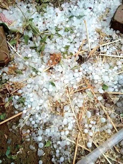 滑縣遭冰雹突襲。(李剛 圖) 