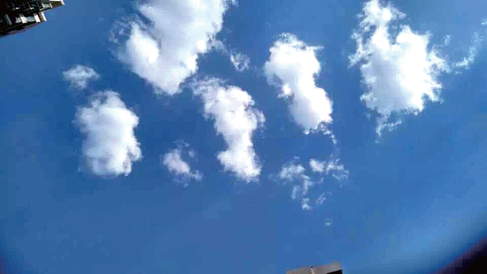 好多棉花糖 (網友心如簡 圖)