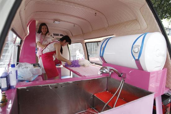 全国首家移动宠物美容医院现身重庆