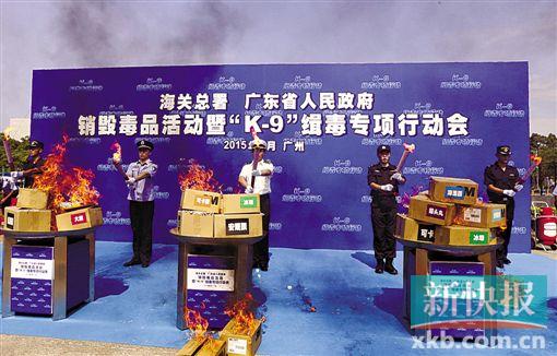 50条缉毒犬集体亮相,标志着“K-9”缉毒专项行动启动。
