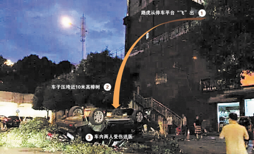 车从10多米高的地方冲下来后,轮胎朝上,摔在地上。 网友供图 王斌制作