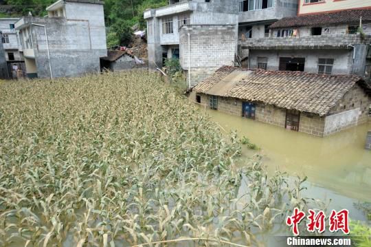 广西南宁市马山县民族村弄怀屯村民房子已经被洪水浸泡。　王俞　摄