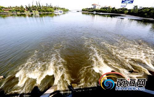 污水排放触目惊心。海南日报记者陈元才摄