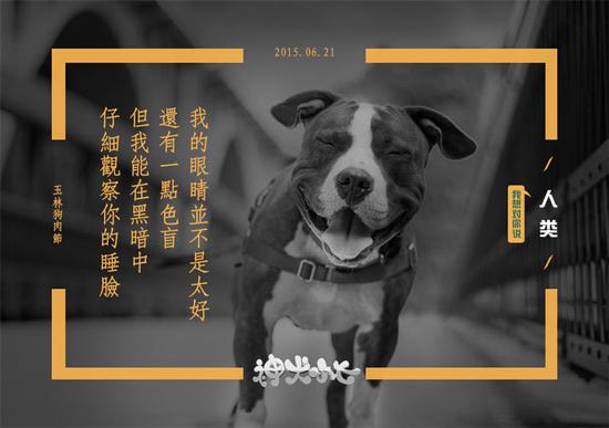 神犬小七 视觉