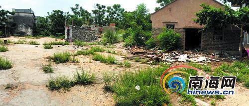 因个别村民阻挠施工,土地无法开发,里面杂草丛生。
